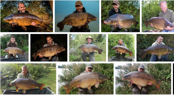 Compilation of UK Fish