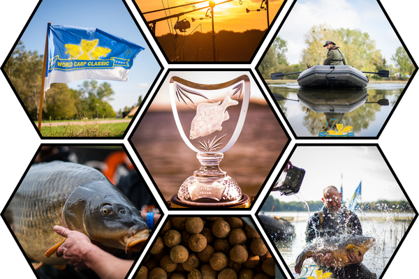 600x400 photo library